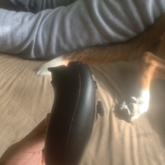 PS5 PRO controller - Picture 3 of 4